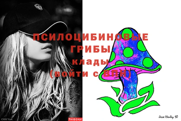 прущие грибы Нягань
