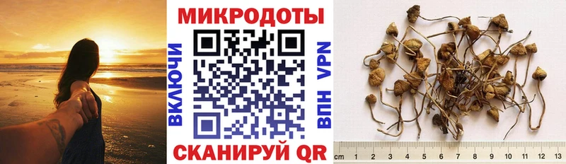 закладка  Урень  Псилоцибиновые грибы мицелий 